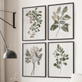 Vintage Botanical Wall Art Set (4 Prints)